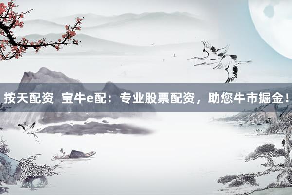按天配资  宝牛e配：专业股票配资，助您牛市掘金！