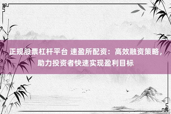 正规股票杠杆平台 速盈所配资：高效融资策略，助力投资者快速实现盈利目标