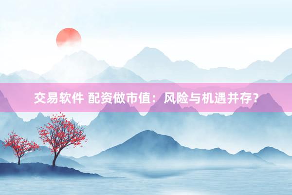 交易软件 配资做市值：风险与机遇并存？