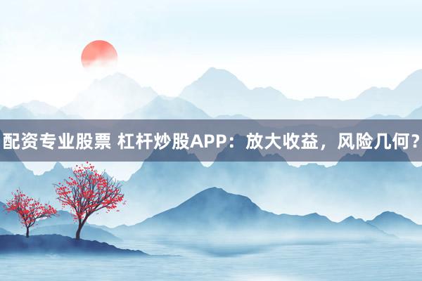 配资专业股票 杠杆炒股APP：放大收益，风险几何？