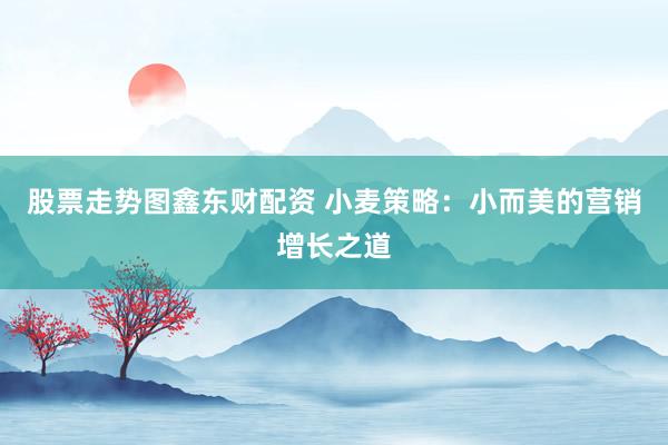股票走势图鑫东财配资 小麦策略：小而美的营销增长之道