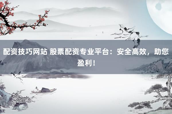 配资技巧网站 股票配资专业平台：安全高效，助您盈利！