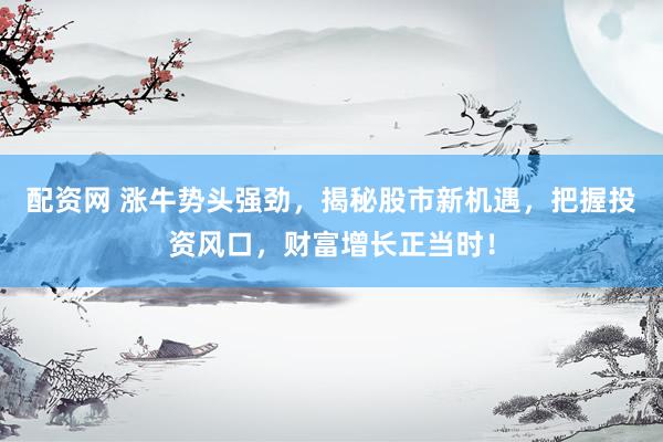 配资网 涨牛势头强劲，揭秘股市新机遇，把握投资风口，财富增长正当时！
