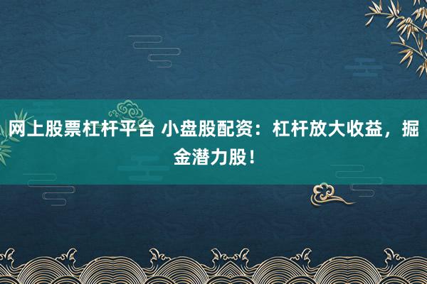 网上股票杠杆平台 小盘股配资：杠杆放大收益，掘金潜力股！