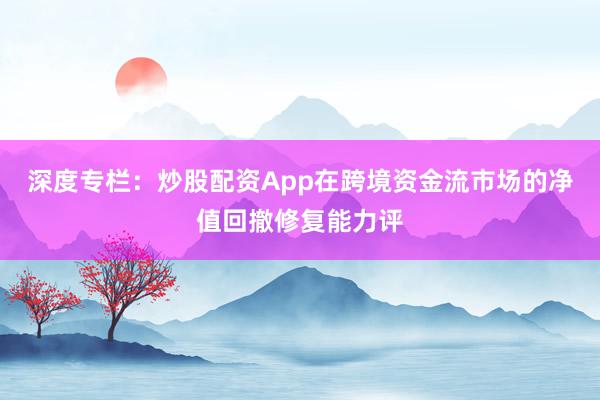 深度专栏：炒股配资App在跨境资金流市场的净值回撤修复能力评